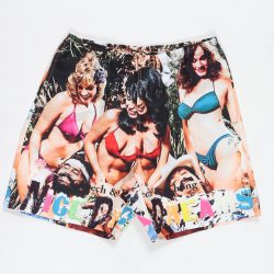 NICE DREAMS / BOARD SHORTS