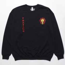 CREW NECK SWEAT SHIRT (TYPE-2)